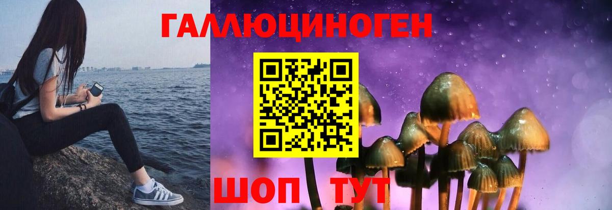 Галлюциногенные грибы Psilocybine cubensis  Вход с VPN  Котельники 